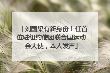 刘国梁有新身份！任首位驻纽约使团联合国运动会大使，本人发声