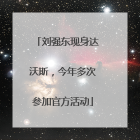 刘强东现身达沃斯，今年多次参加官方活动