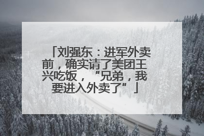 刘强东：进军外卖前，确实请了美团王兴吃饭，“兄弟，我要进入外卖了”