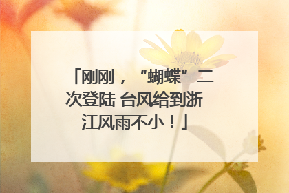 刚刚，“蝴蝶”二次登陆 台风给到浙江风雨不小！