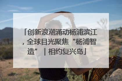 创新浪潮涌动杨浦滨江，全球目光聚焦“杨浦智造”｜相约复兴岛