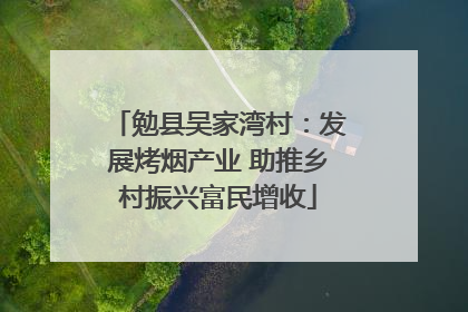 勉县吴家湾村：发展烤烟产业 助推乡村振兴富民增收