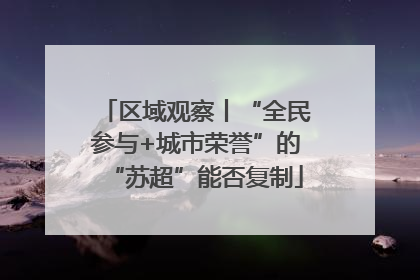 区域观察丨“全民参与+城市荣誉”的“苏超”能否复制