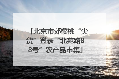 北京市郊樱桃“尖货”登录“北苑路88号”农产品市集