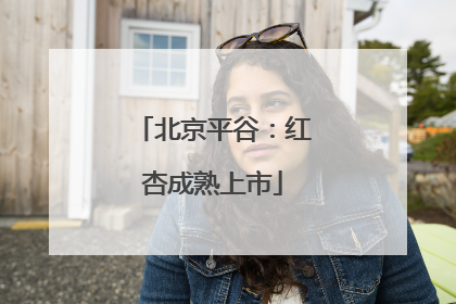 北京平谷：红杏成熟上市