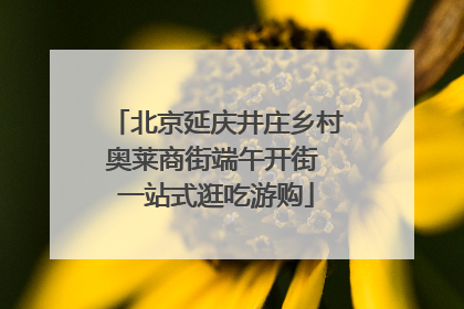 北京延庆井庄乡村奥莱商街端午开街 一站式逛吃游购