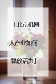 北京机器人产业如何释放活力