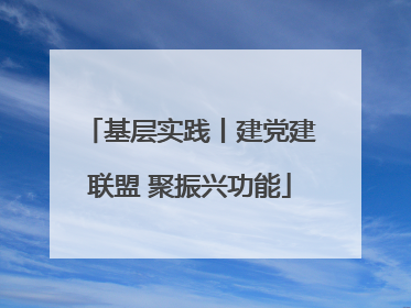 基层实践丨建党建联盟 聚振兴功能