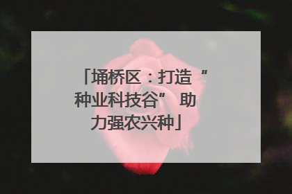 埇桥区：打造“种业科技谷” 助力强农兴种