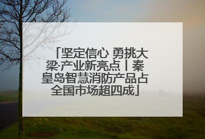 坚定信心 勇挑大梁·产业新亮点丨秦皇岛智慧消防产品占全国市场超四成