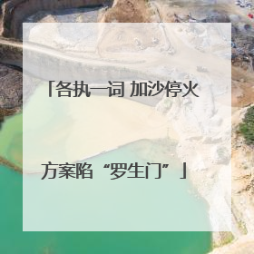 各执一词 加沙停火方案陷“罗生门”
