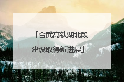 合武高铁湖北段建设取得新进展