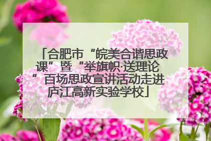 合肥市“皖美合谐思政课”暨“举旗帜·送理论”百场思政宣讲活动走进庐江高新实验学校