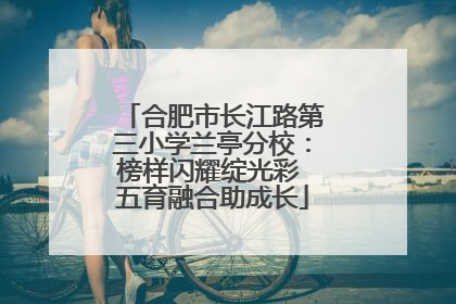 合肥市长江路第三小学兰亭分校：榜样闪耀绽光彩 五育融合助成长