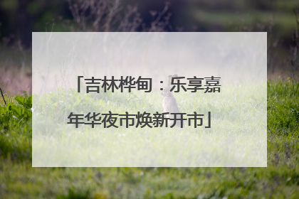 吉林桦甸：乐享嘉年华夜市焕新开市