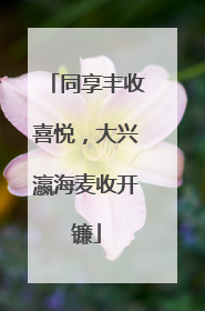 同享丰收喜悦，大兴瀛海麦收开镰