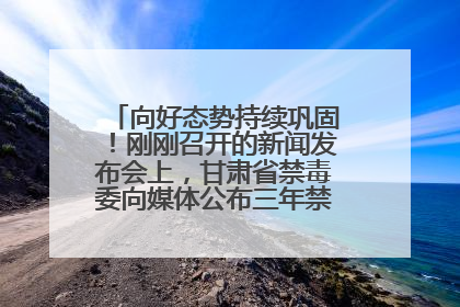 向好态势持续巩固！刚刚召开的新闻发布会上，甘肃省禁毒委向媒体公布三年禁毒工作“成绩单”