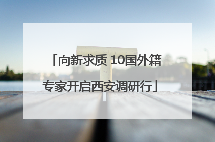 向新求质 10国外籍专家开启西安调研行