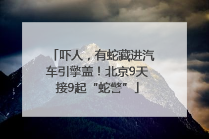 吓人，有蛇藏进汽车引擎盖！北京9天接9起“蛇警”