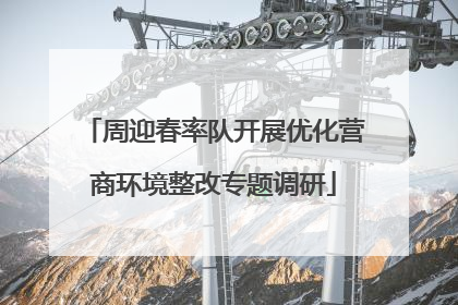 周迎春率队开展优化营商环境整改专题调研