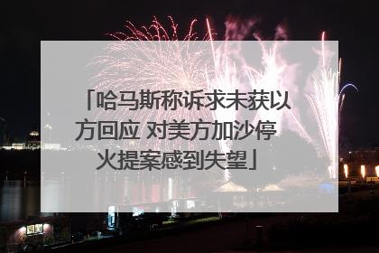 哈马斯称诉求未获以方回应 对美方加沙停火提案感到失望