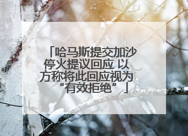 哈马斯提交加沙停火提议回应 以方称将此回应视为“有效拒绝”