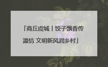商丘虞城丨饺子飘香传温情 文明新风润乡村