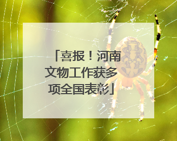 喜报！河南文物工作获多项全国表彰