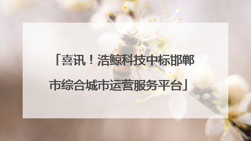 喜讯！浩鲸科技中标邯郸市综合城市运营服务平台