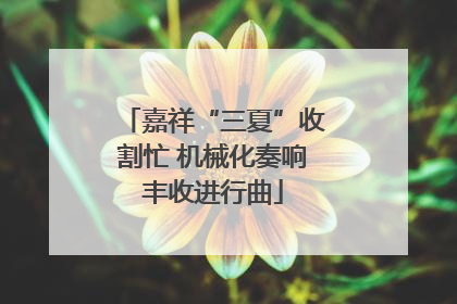 嘉祥“三夏”收割忙 机械化奏响丰收进行曲