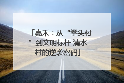 嘉禾：从“拳头村”到文明标杆 清水村的逆袭密码
