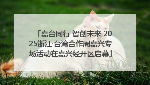 嘉台同行 智创未来 2025浙江·台湾合作周嘉兴专场活动在嘉兴经开区启幕