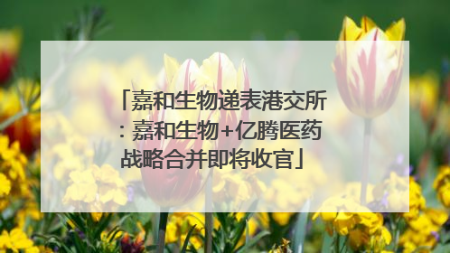 嘉和生物递表港交所：嘉和生物+亿腾医药战略合并即将收官