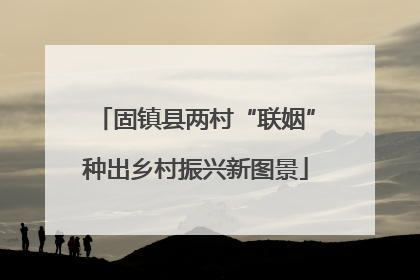 固镇县两村“联姻”种出乡村振兴新图景