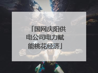 国网庆阳供电公司电力赋能桃花经济