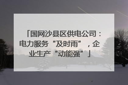 国网沙县区供电公司：电力服务“及时雨”，企业生产“动能强”