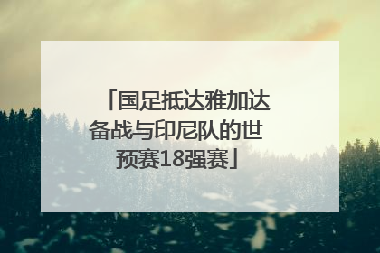 国足抵达雅加达备战与印尼队的世预赛18强赛