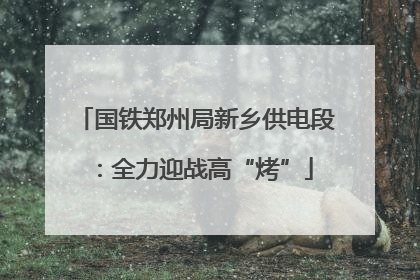 国铁郑州局新乡供电段：全力迎战高“烤”