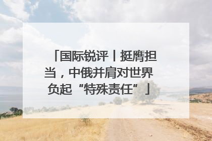 国际锐评丨挺膺担当，中俄并肩对世界负起“特殊责任”