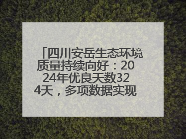 四川安岳生态环境质量持续向好：2024年优良天数324天，多项数据实现100%