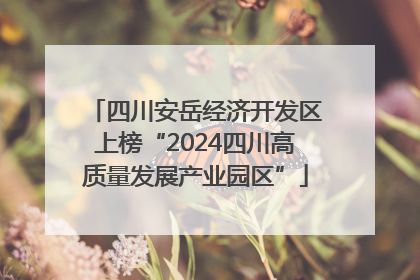 四川安岳经济开发区上榜“2024四川高质量发展产业园区”