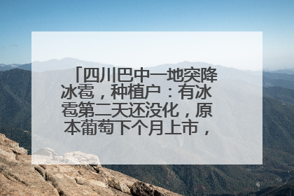 四川巴中一地突降冰雹，种植户：有冰雹第二天还没化，原本葡萄下个月上市，现在全被打落