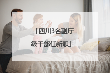 四川3名副厅级干部任新职