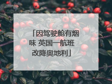 因驾驶舱有烟味 英国一航班改降奥地利