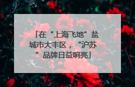 在“上海飞地”盐城市大丰区，“沪苏”品牌日益响亮