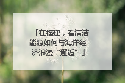 在福建，看清洁能源如何与海洋经济浪漫“邂逅”
