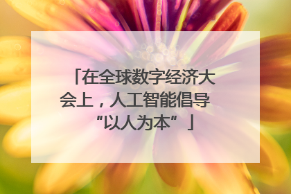 在全球数字经济大会上，人工智能倡导“以人为本”