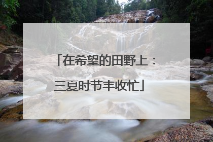 在希望的田野上：三夏时节丰收忙