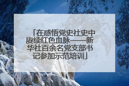 在感悟党史社史中赓续红色血脉——新华社百余名党支部书记参加示范培训