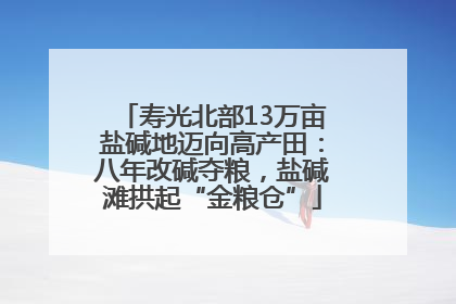 寿光北部13万亩盐碱地迈向高产田：八年改碱夺粮，盐碱滩拱起“金粮仓”